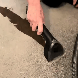 HomeReclaim™ Day Plus Cleaner